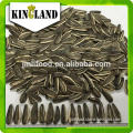 Bulk organic the sunflower seeds